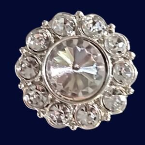 Magnetic Horse Show Number Pins Crystal Rondelle Concho Set of 4 NEW